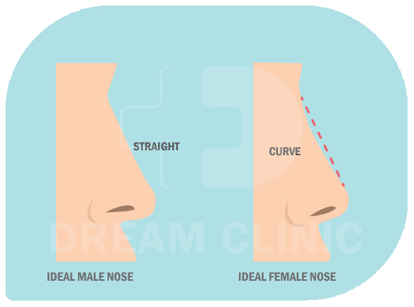 Ideal male and female nose curve