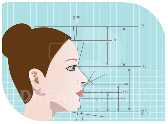 face measurement