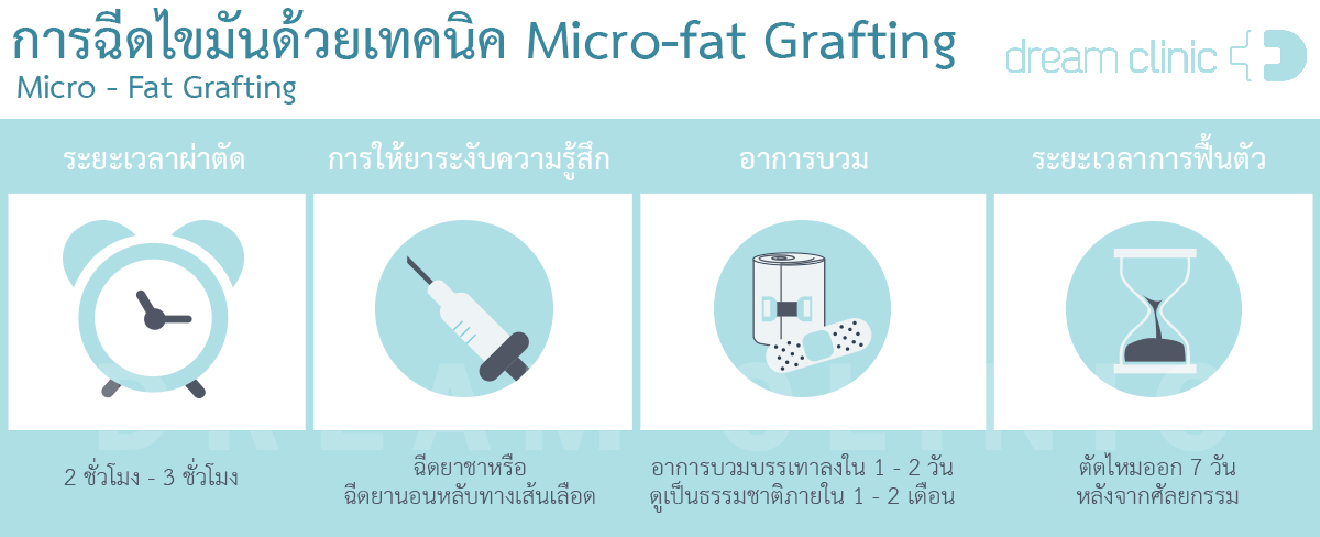 information - microfat
